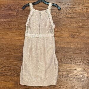 Elegant Sparkle Mini Dress